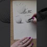 Art Class About Shading Before You Come For Me We Will Be Going Over Light In The Shadow Too