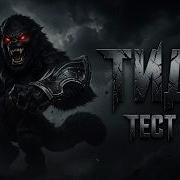 ETERNAL EVOLUTION ТИДО А5 ТЕСТ ПВП