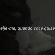 Patrick Watson Je Te Laisserai Des Mots TRADUÇÃO