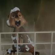 Alvin Takes A Shower But Alvin Has Daphne Blake S Voice And Dave Has Alpha S Voice