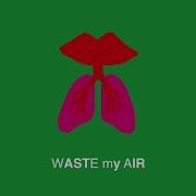 Sophie And The Giants Waste My Air Lyric Video