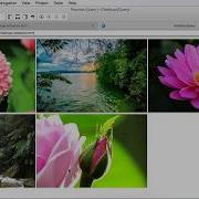 JQuery Simple Image Slideshow Using JQuery