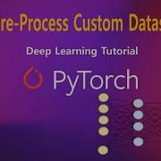 05 Pytorch How To Pre Process And Build A Custom Dataset