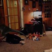 Velociraptor Attack Fx Efexio