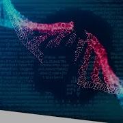 A Computer Virus Inside Human DNA