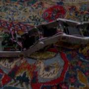 Inchworm Robot