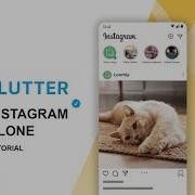 Flutter Instagram Clone App Splash Login Screen UI Flutter Tutorial