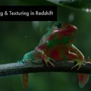 Animated Frog Full Scene Breakdown Chapter 2 Lighting Texturing In Redshift C4D