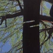 Быстрая стрижка ArboristAdvice