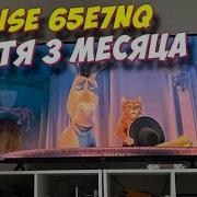 Телевизор Hisense 65E7NQ СТОИТ ЛИ БРАТЬ