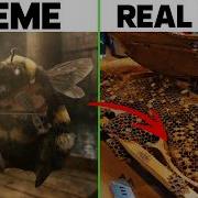Bee Playing Violin Meme Vs Real Life