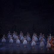 The Nutcracker The Waltz Of The Snowflakes The Royal Ballet