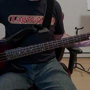 Weezer This Is Such A Pity Bass Cover