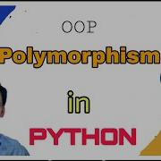 Polymorphism In Python