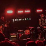 This Wild Life Concrete Live