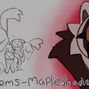Problems A Mapleshade PMV