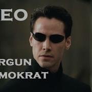 Neo Yorgun Demokrat