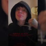 9mice Snippet 25 01 25