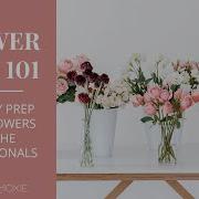 Flower Care 101 What To Do When Your Flowers Arrive
