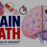 Your Brain While Dying What Happens In Minutes