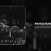 MACAN Май Slowed Reverb