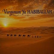 Vurgunum Ya HABIBALLAH