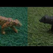 INDIAN LEOPARD VS SLOTH BEAR Animal Battles Part 19