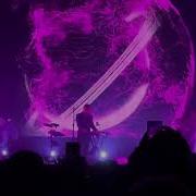 Дельфин Миф Live Atmosphere 07 03 2024