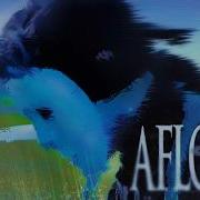 AFLOAT Official Music VIDEO