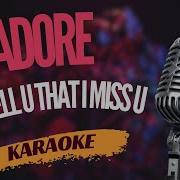 Karaoke Adore Did I Tell U That I Miss U Sing Along