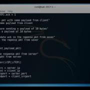 Create Complete Tcp Flow Of Packets Using Scapy Part4