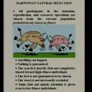 Automated Design Using Darwinian Evolution And Genetic Programming