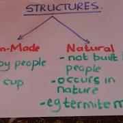 Grade 7 Technology Structures Man Made And Natural Structures