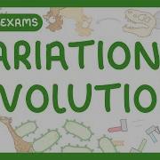 GCSE Biology Variation And Evolution 2026 27 Exams