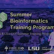 LBRN Summer Bioinformatics Program Introduction Session 1