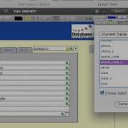 FileMaker Tutorial 092 Strict Data Type