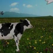 Cow Error 316