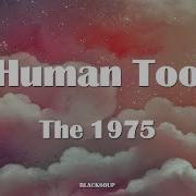 The 1975 Human Too Lyrics