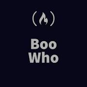 STEP BY STEP FreeCodeCamp Boo Who