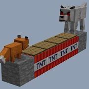 Wolf IQ Test