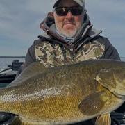 Swim Baits For Big Smallmouth Bass