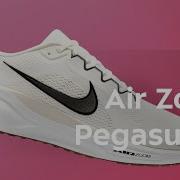 Кроссовки Nike Air Zoom Pegasus 41