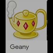 How To Install Geany
