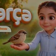 Serce Usag Mahnisi Cik Cik Sen Macera Musiqili Animasiya 4K
