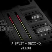 A Split Second Flesh HQ