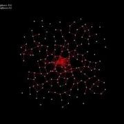 Slime Mold Simulation Flocking Based Growth