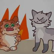Ashfur Mp 4