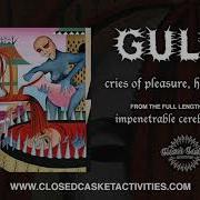 Gulch Cries Of Pleasure Heavenly Pain