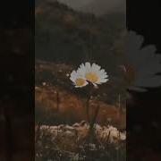 Hirai Zerdüş Uğra Bana