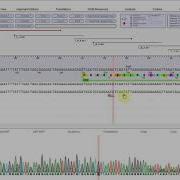 DNADynamo Tutorial DNA Sequencing
